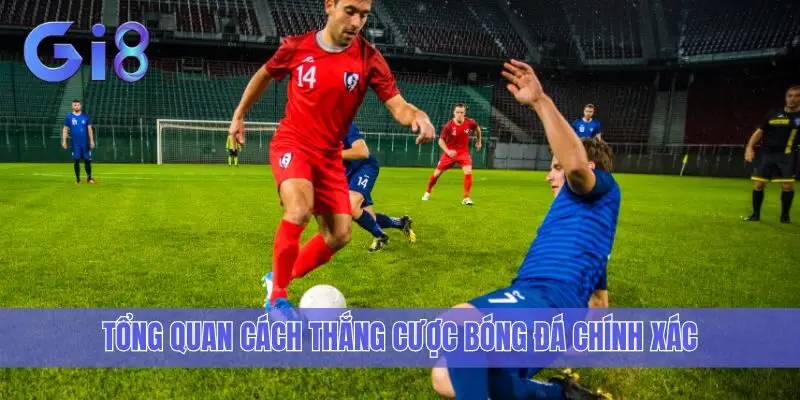 Tổng quan cách thắng cược bóng đá chính xác