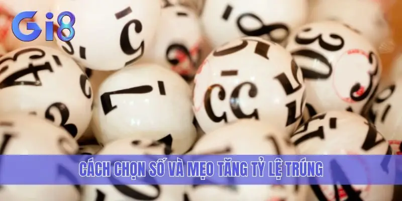 Cách chọn số và mẹo tăng tỷ lệ trúng