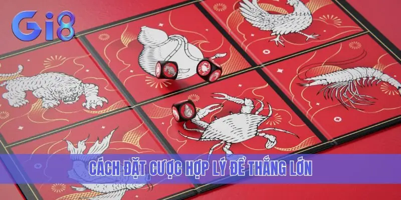 Cách đặt cược hợp lý để thắng lớn